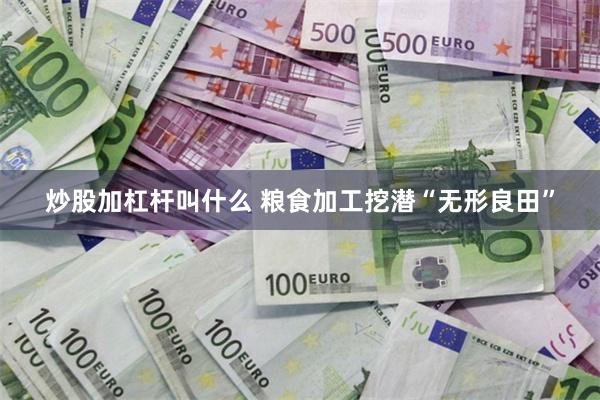 炒股加杠杆叫什么 粮食加工挖潜“无形良田”