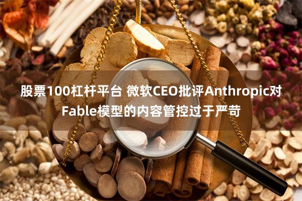 股票100杠杆平台 微软CEO批评Anthropic对Fable模型的内容管控过于严苛