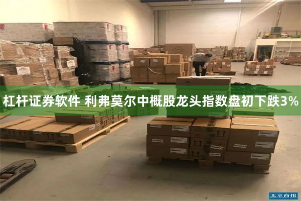 杠杆证券软件 利弗莫尔中概股龙头指数盘初下跌3%