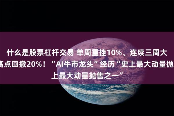 什么是股票杠杆交易 单周重挫10%、连续三周大跌，较高点回撤20%！“AI牛市龙头”经历“史上最大动量抛售之一”