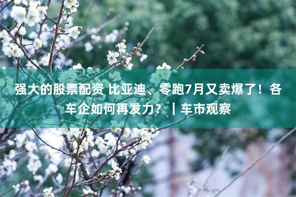 强大的股票配资 比亚迪、零跑7月又卖爆了！各车企如何再发力？｜车市观察